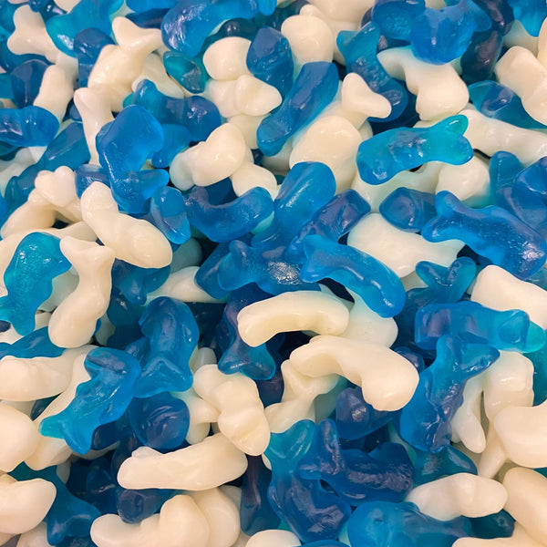 Baby Dolphins - Candy Delivered