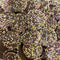 Chocolate Jazzies - Candy Delivered