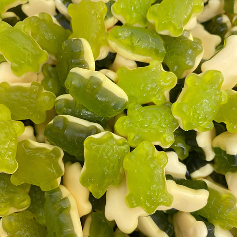 Terrific Turtles - Candy Delivered